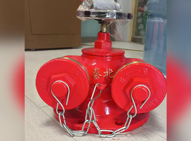 ��ʽˮ�ýӺ���